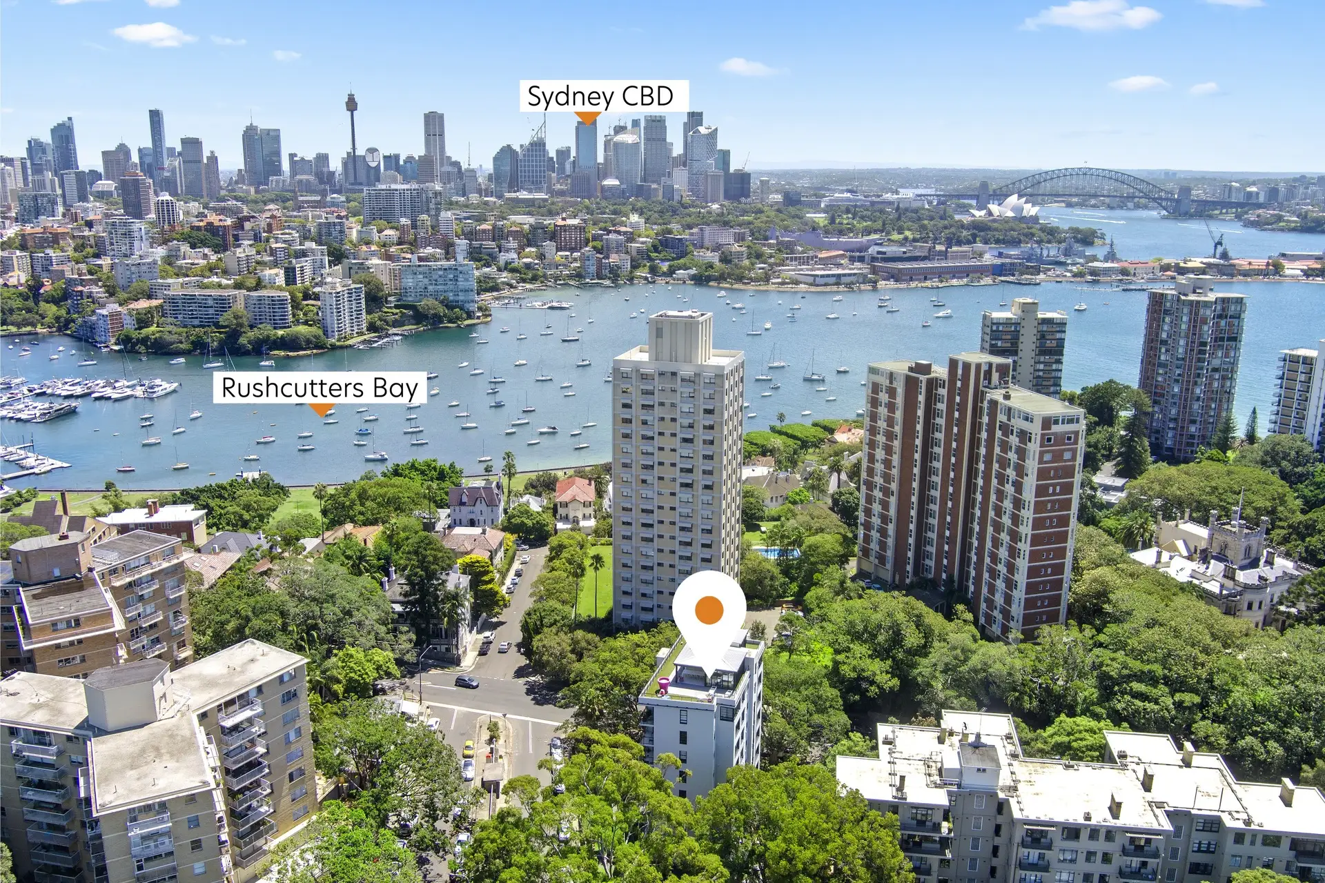6/107 Darling Point Road, Darling Point Sold by Bradfield Badgerfox - image 1