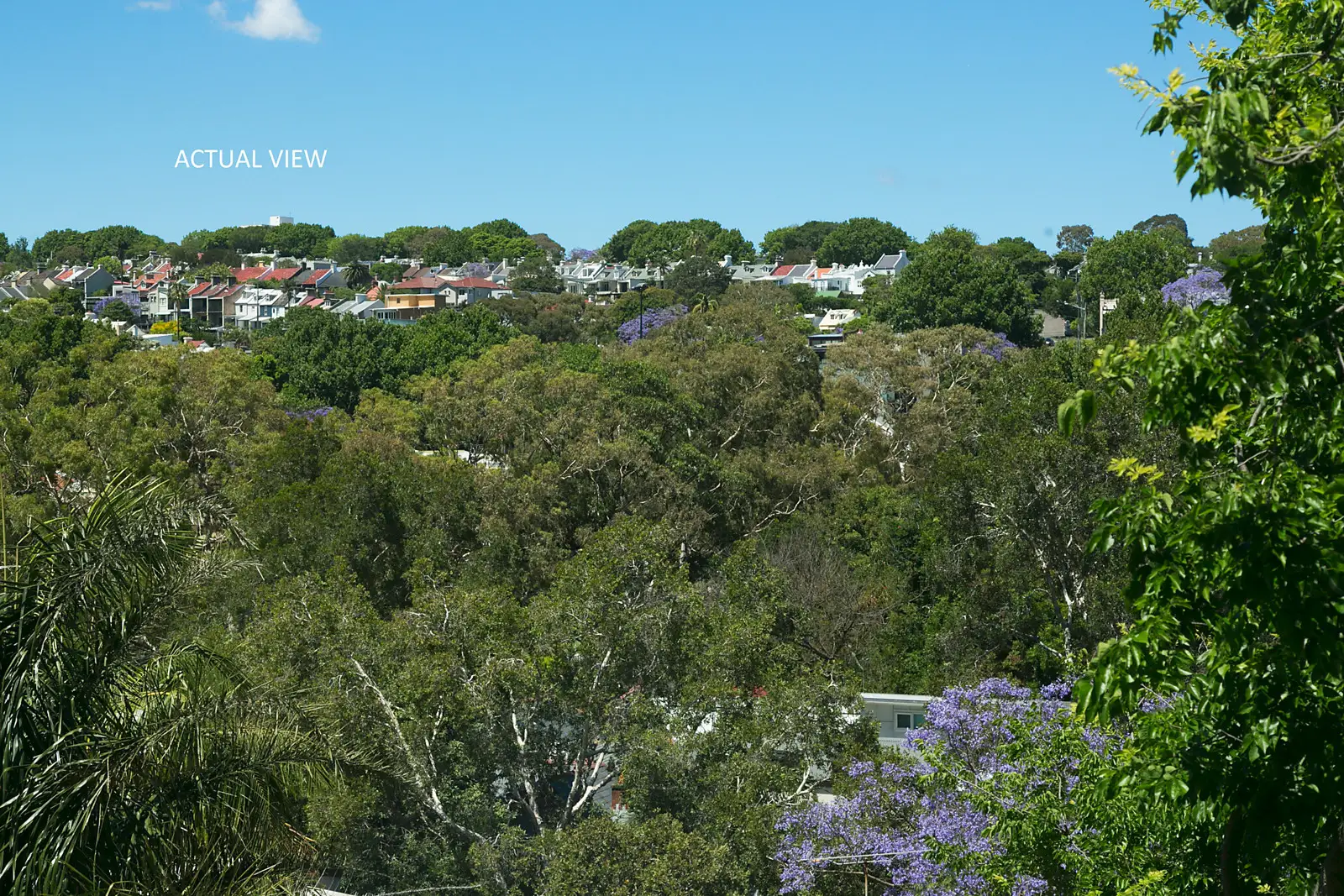 8/4 South Street, Edgecliff Sold by Bradfield Badgerfox - image 1