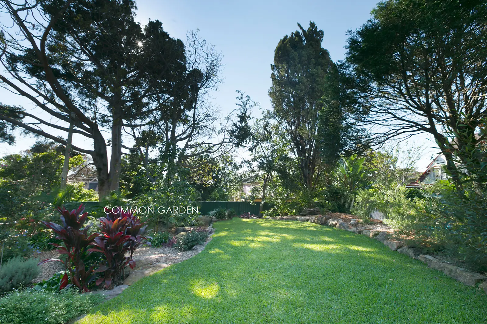 1/6 Trelawney Street, Woollahra Sold by Bradfield Badgerfox - image 1