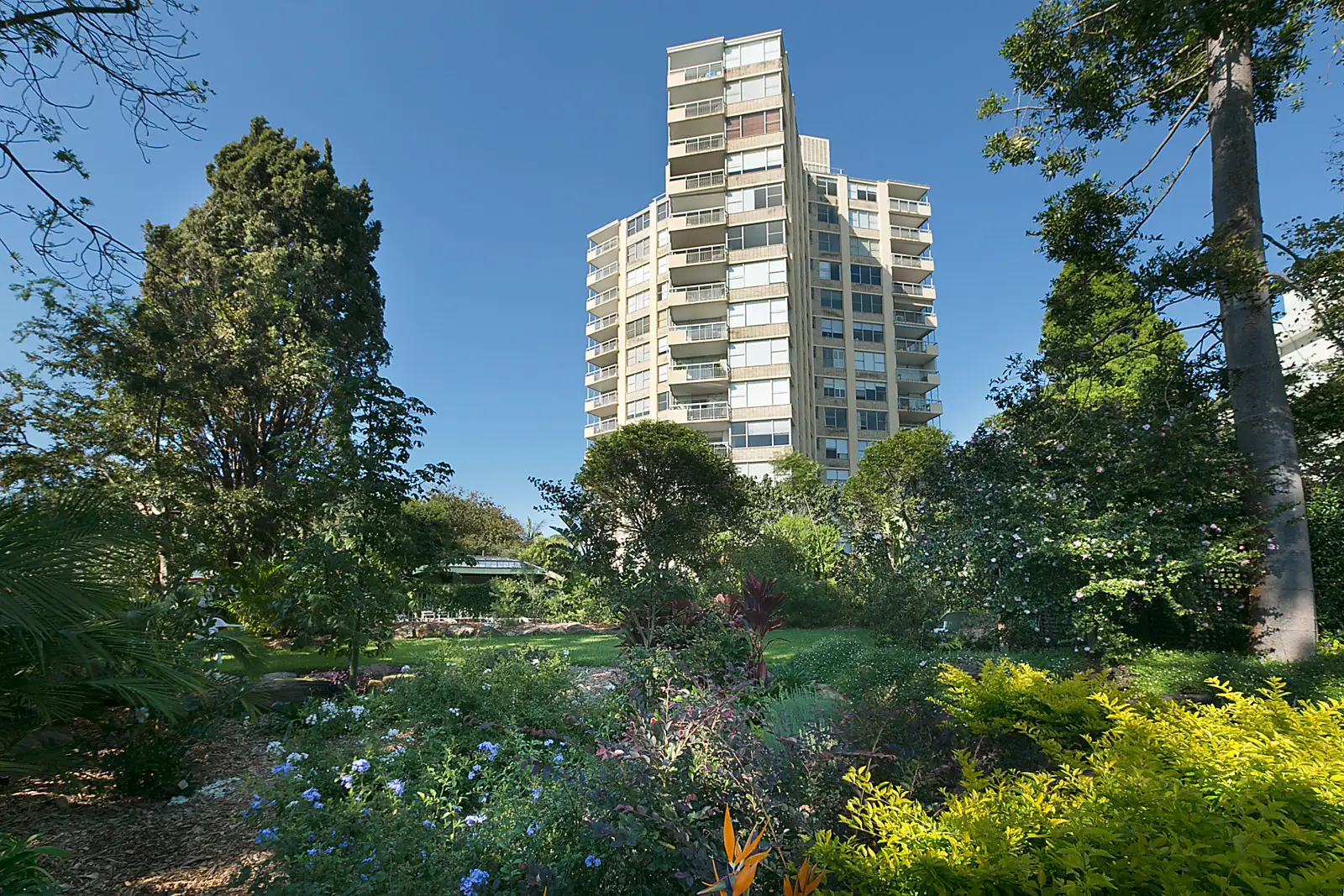 1/6 Trelawney Street, Woollahra Sold by Bradfield Badgerfox - image 1