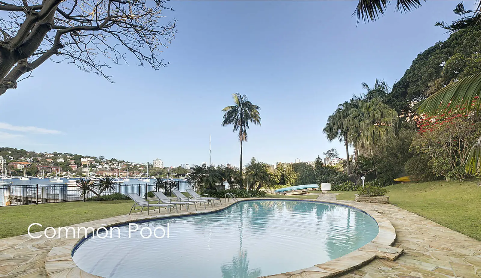 8A/27 Sutherland Crescent, Darling Point Sold by Bradfield Badgerfox - image 1