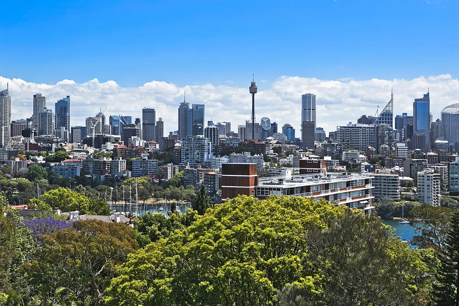 18/2 Eastbourne Road, Darling Point Sold by Bradfield Badgerfox - image 1