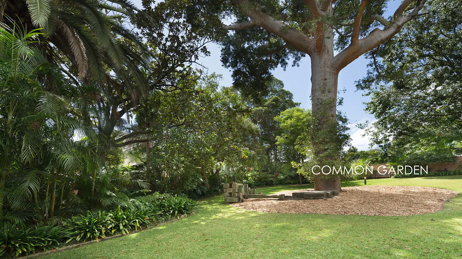 28/16-18 Rosemont Avenue, Woollahra Sold by Bradfield Badgerfox - image 1