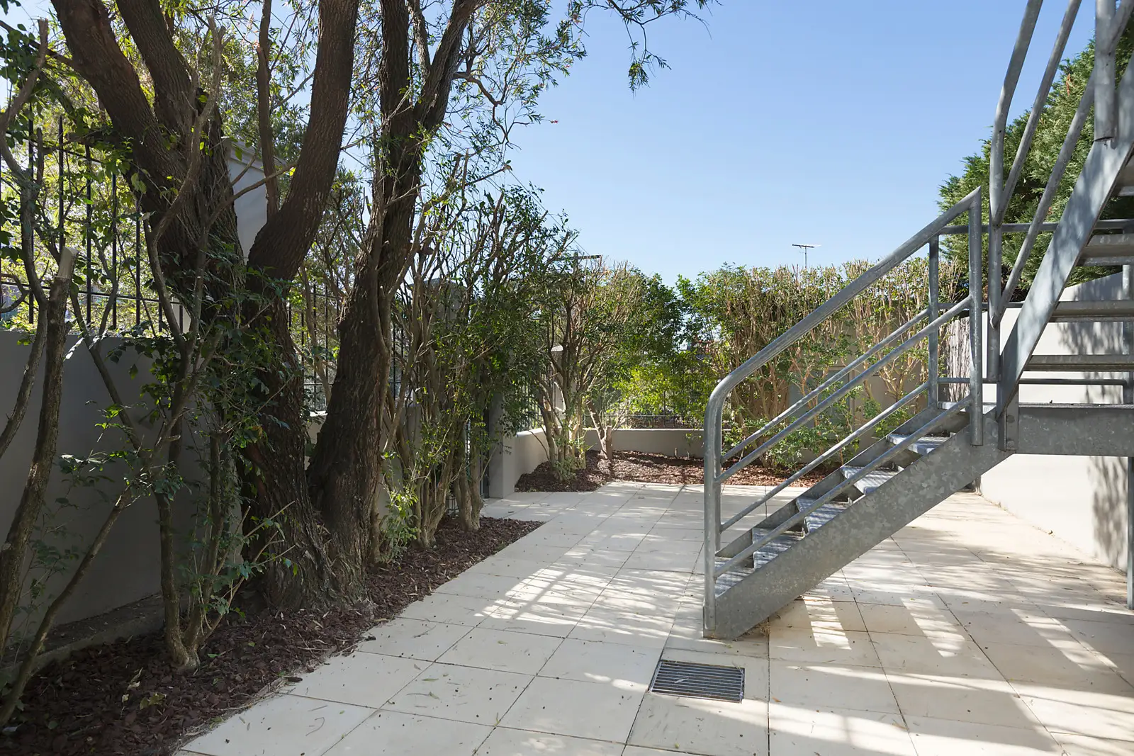 217 Alison Road, Randwick Sold by Bradfield Badgerfox - image 1