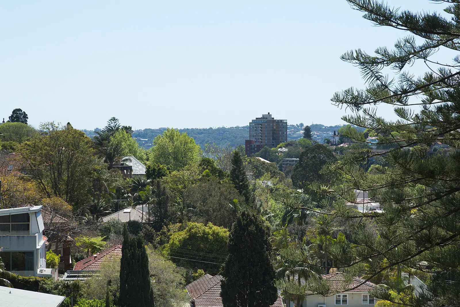 12 Chester Street, Woollahra Sold by Bradfield Badgerfox - image 1