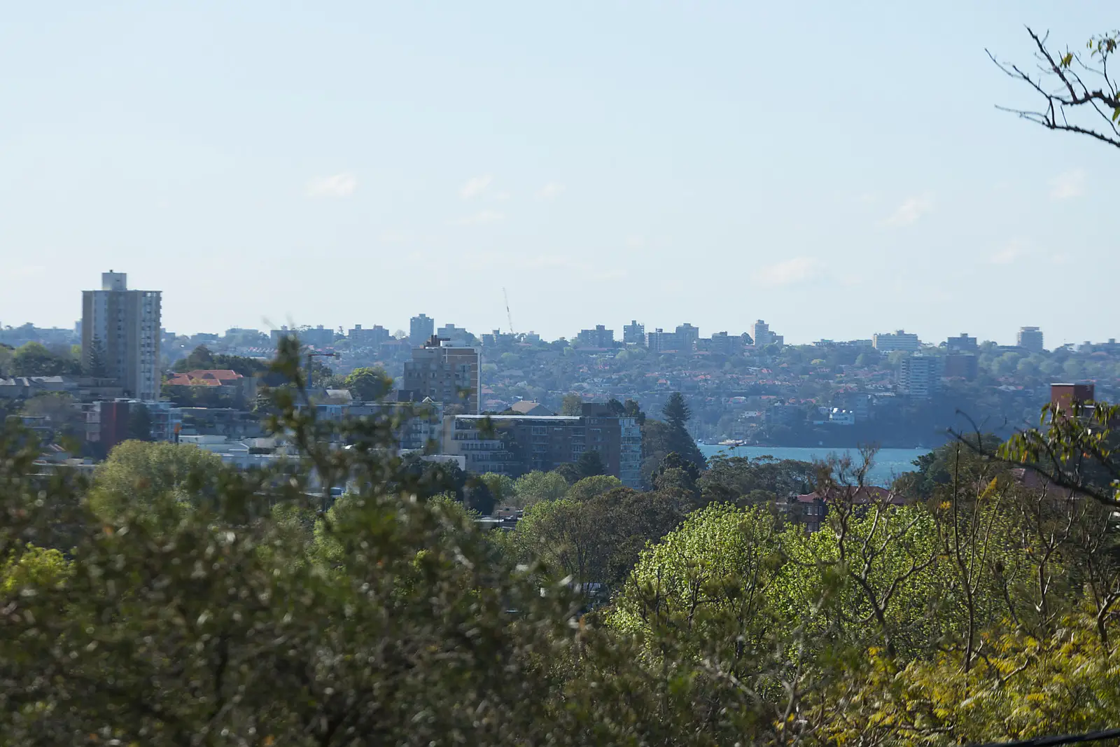 25 Edward Street, Woollahra Sold by Bradfield Badgerfox - image 1