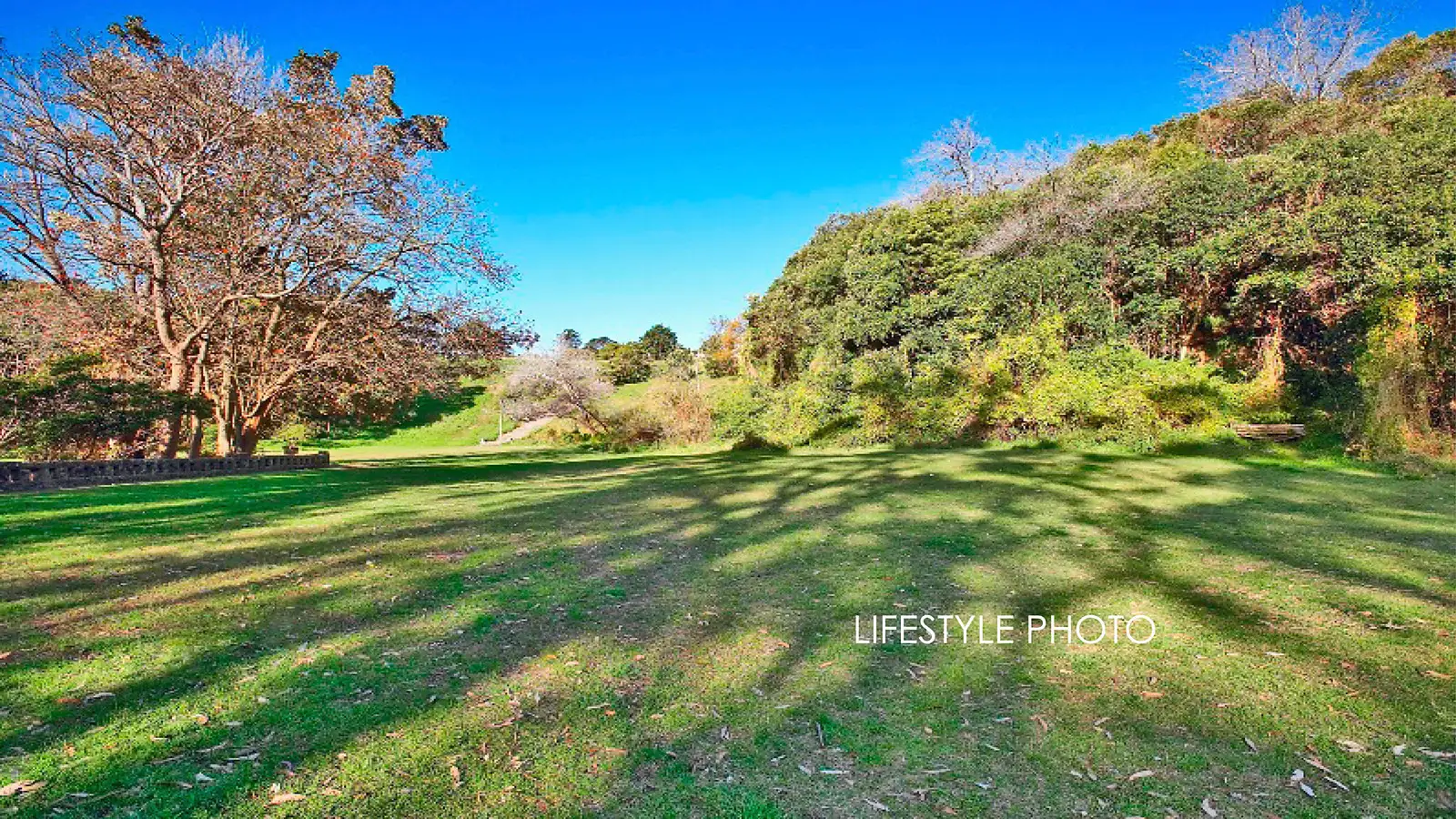 25/206 Victoria Road, Bellevue Hill Sold by Bradfield Badgerfox - image 1