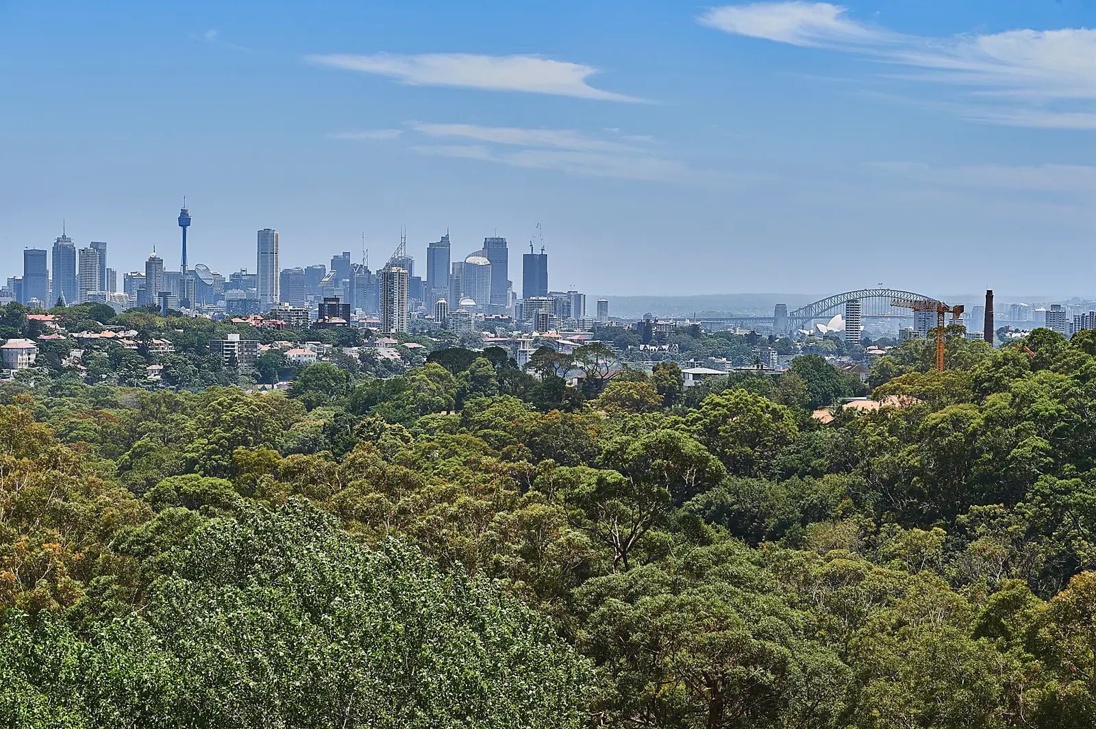 25/206 Victoria Road, Bellevue Hill Sold by Bradfield Badgerfox - image 1