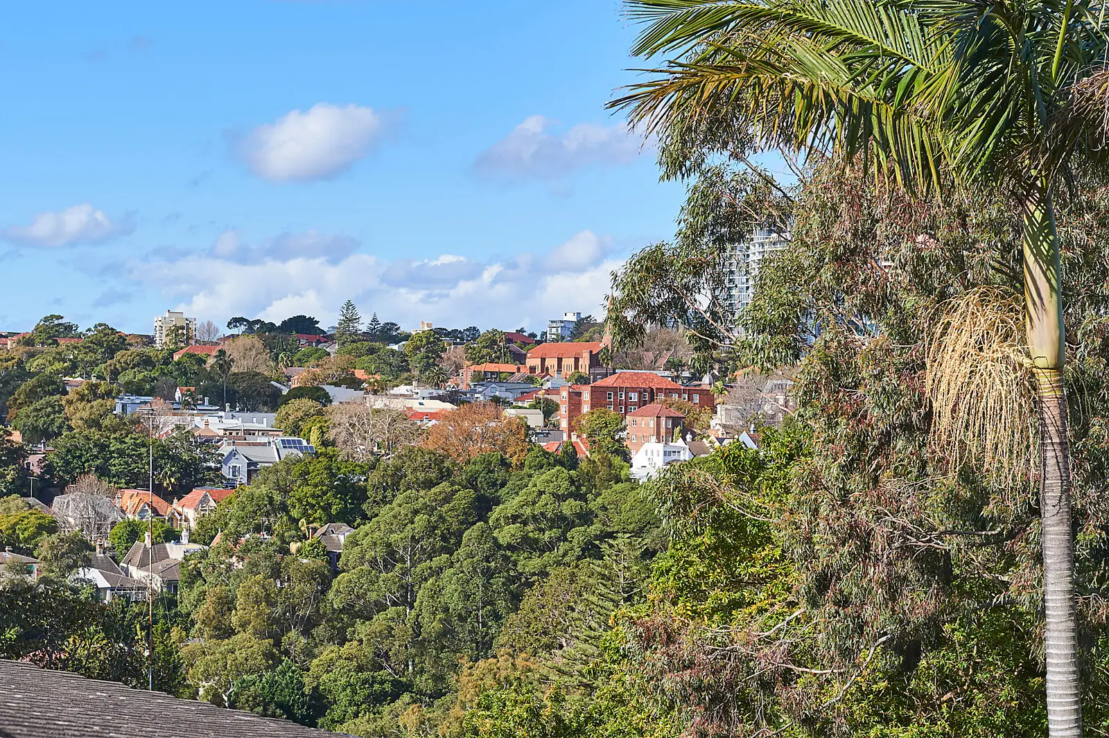 3/275 Edgecliff Road, Woollahra Sold by Bradfield Badgerfox - image 1