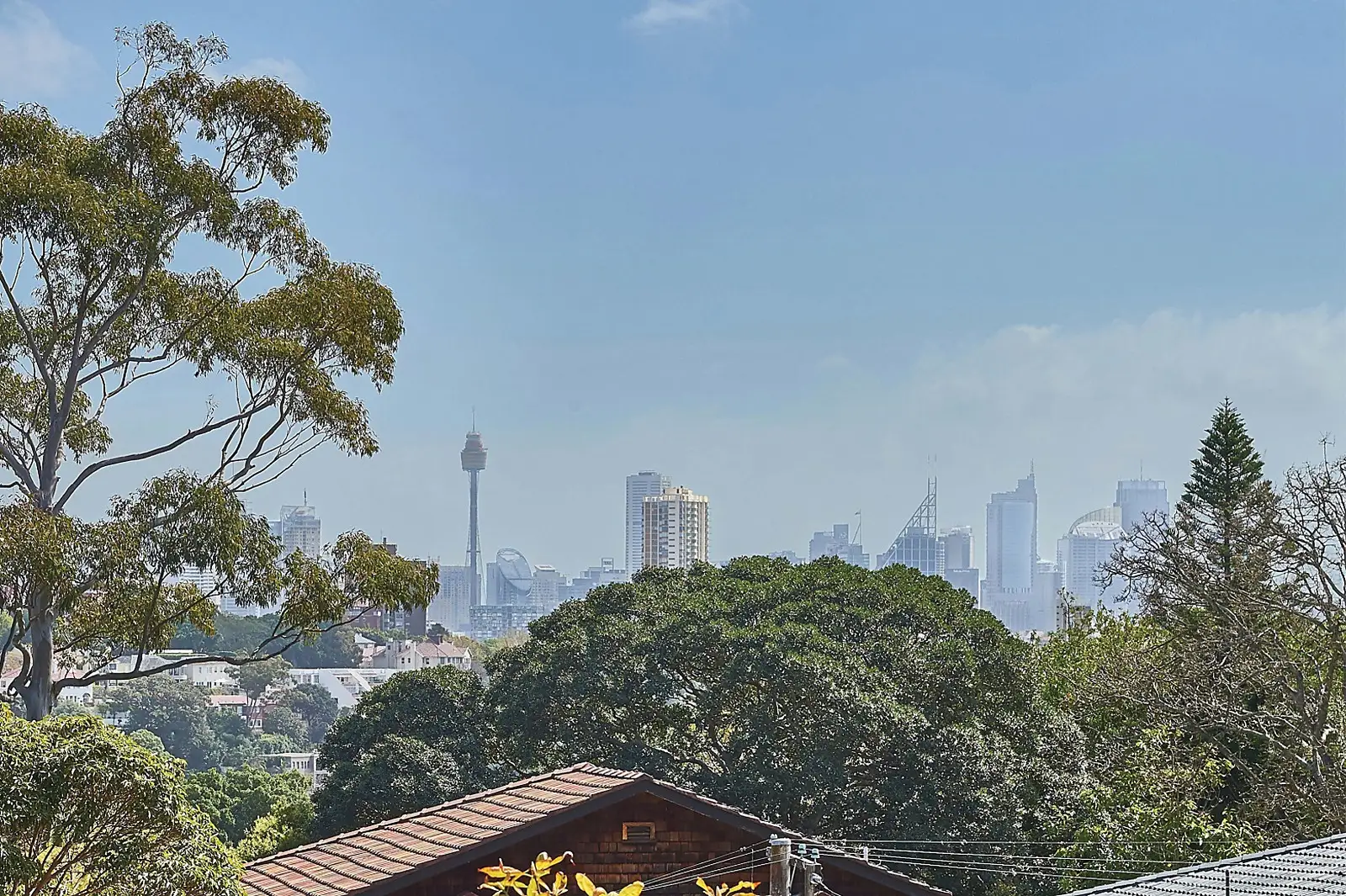 3/24 Streatfield Road, Bellevue Hill Sold by Bradfield Badgerfox - image 1