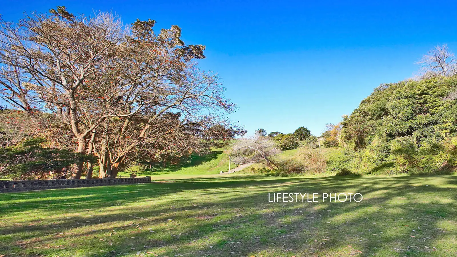 3/24 Streatfield Road, Bellevue Hill Sold by Bradfield Badgerfox - image 1