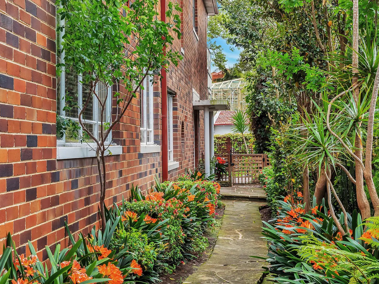 3 Trelawney Street, Woollahra Sold by Bradfield Badgerfox - image 1