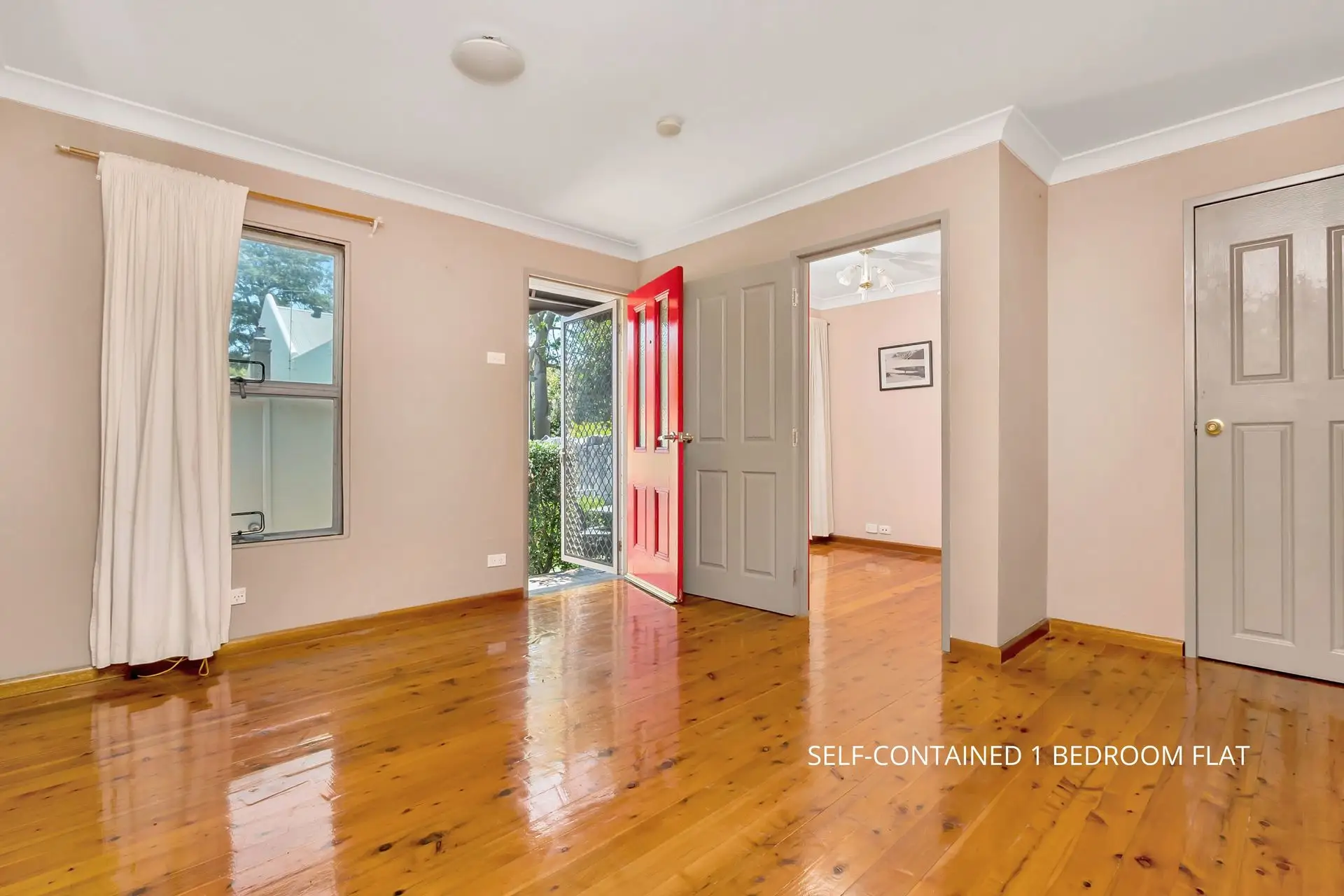 251 Avoca Street, Randwick Sold by Bradfield Badgerfox - image 1