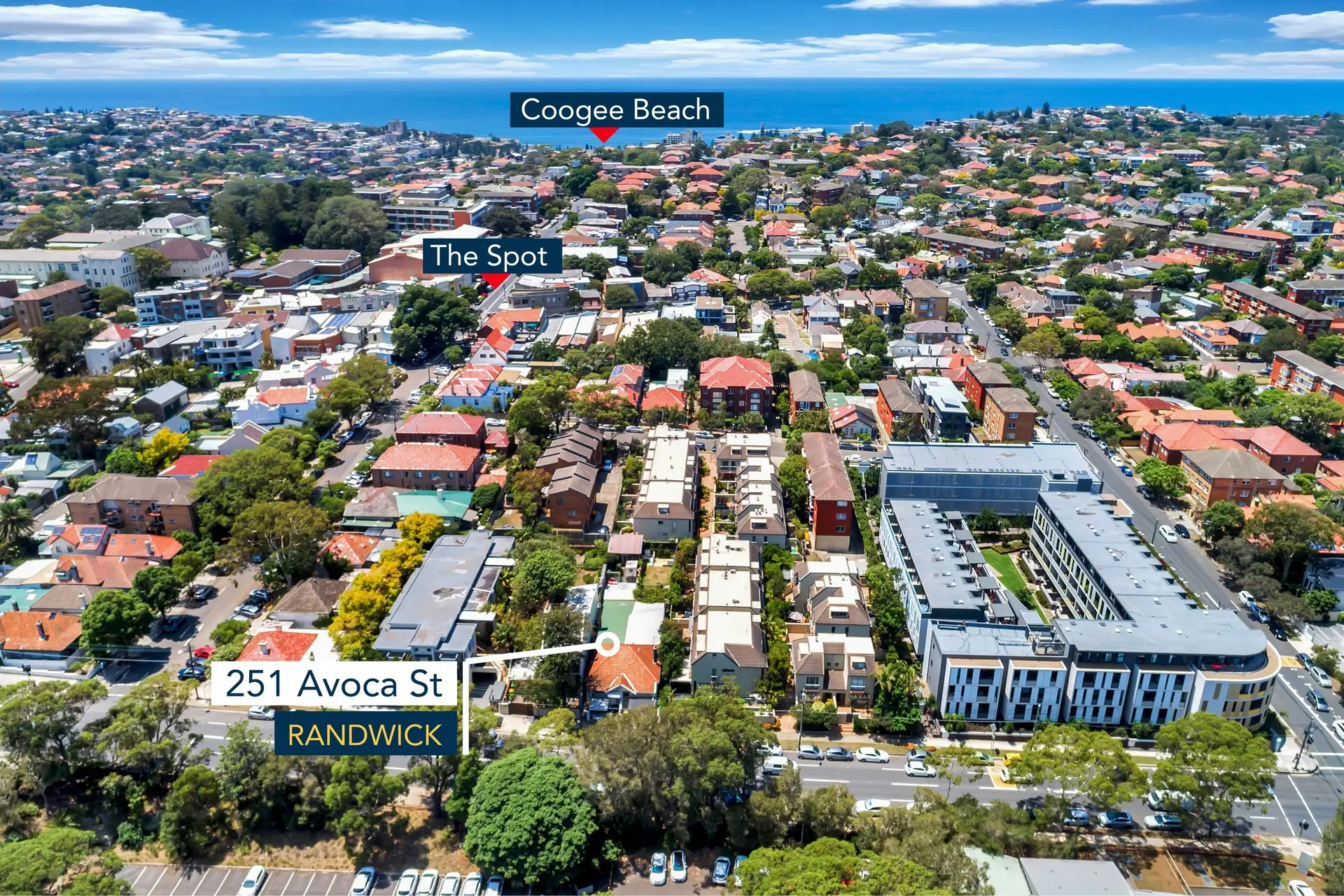 251 Avoca Street, Randwick Sold by Bradfield Badgerfox - image 1