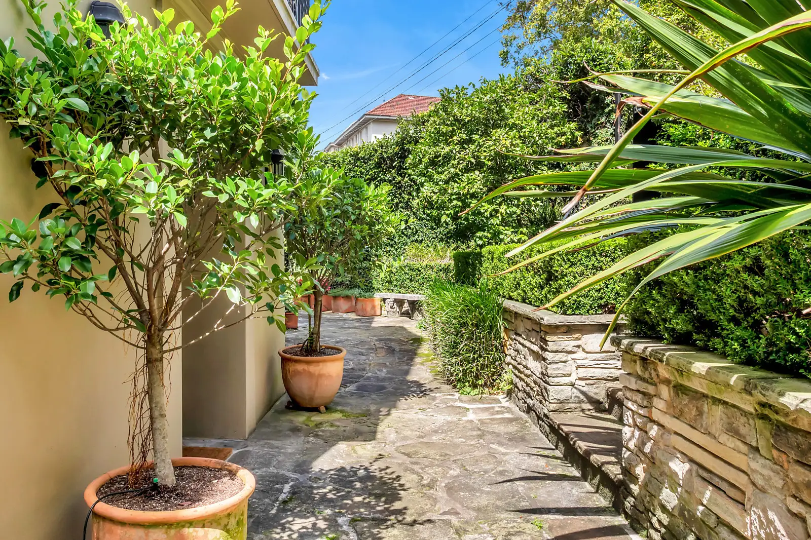 4 Roslyndale Avenue, Woollahra Sold by Bradfield Badgerfox - image 1