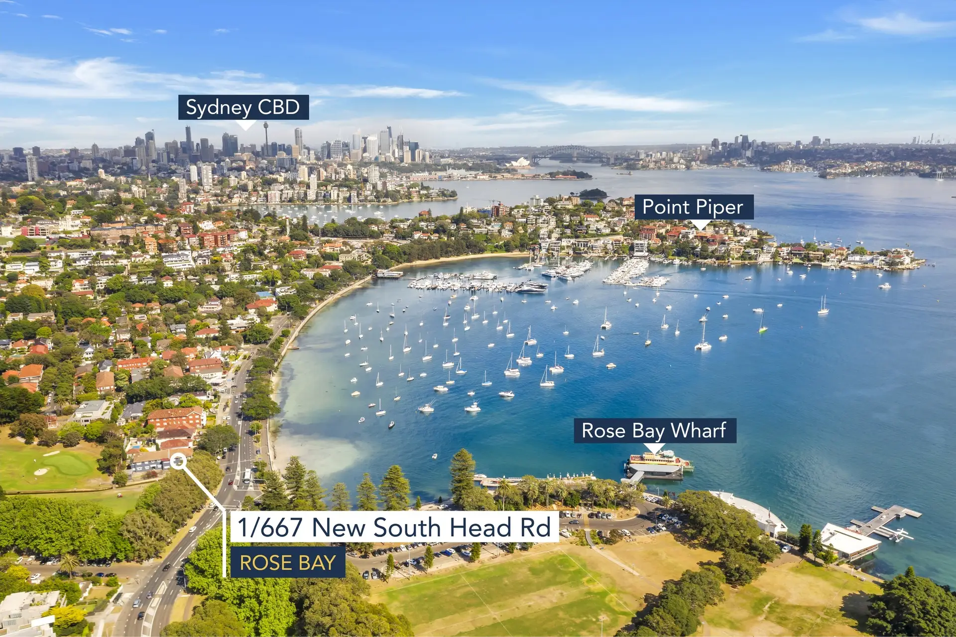 1/667 New South Head Road, Rose Bay Sold by Bradfield Badgerfox - image 1