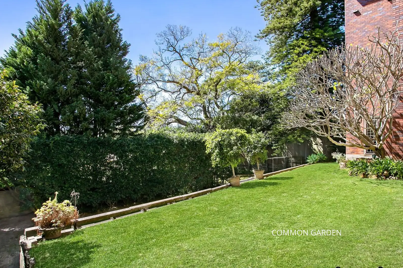 9/281A Edgecliff Road, Woollahra Sold by Bradfield Badgerfox - image 1