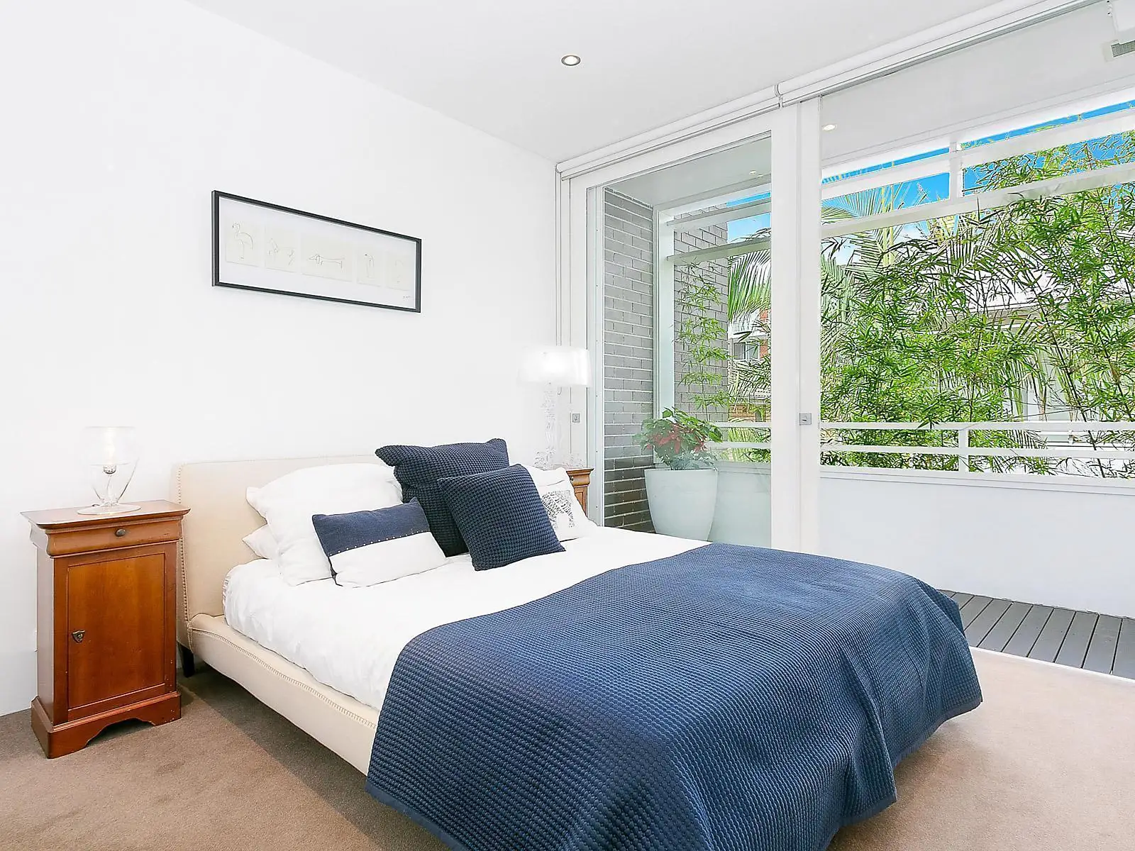 6/16A Frances Street, Randwick Sold by Bradfield Badgerfox - image 1