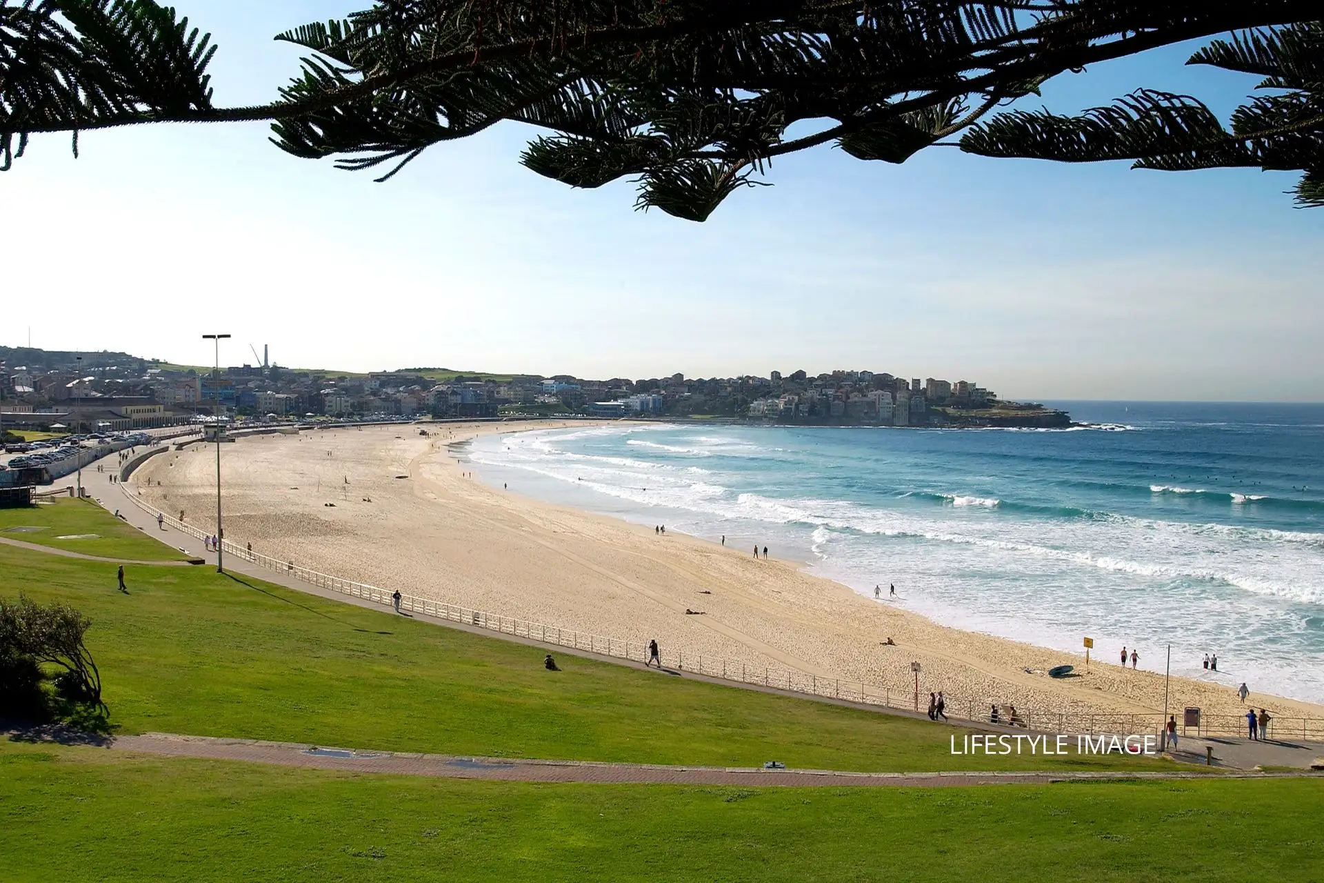 13/1A Edward Street, Bondi Beach Sold by Bradfield Badgerfox - image 1