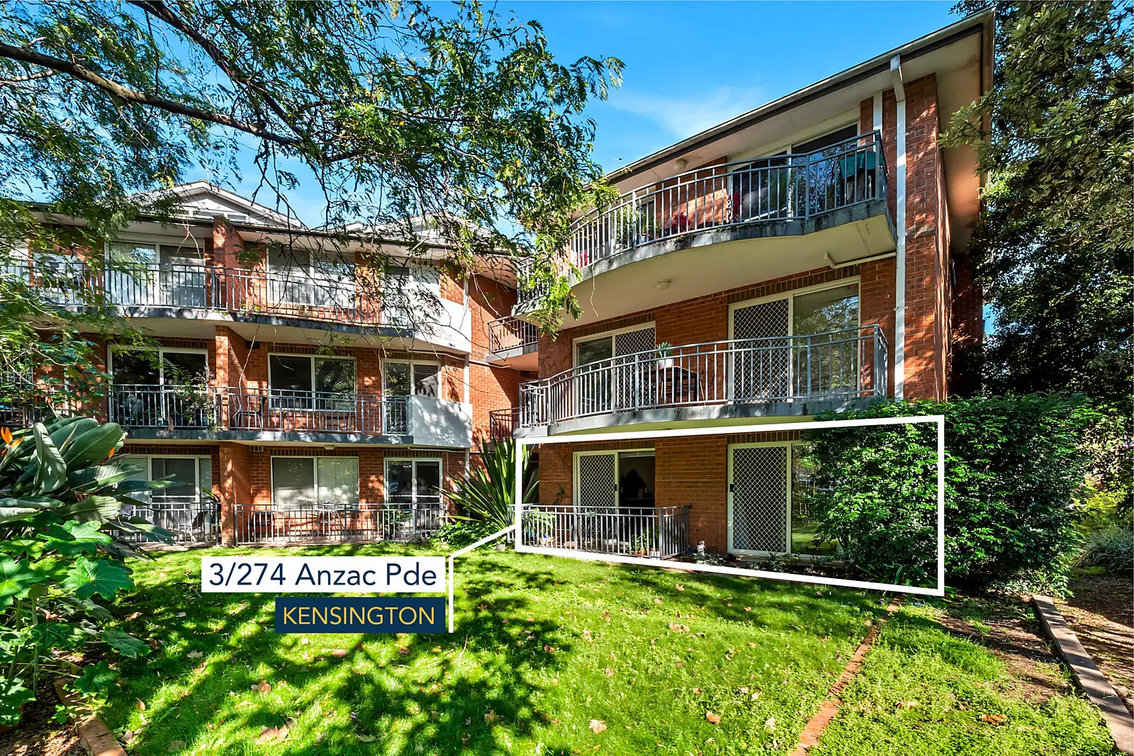 3/274-300 Anzac Parade, Kensington Sold by Bradfield Badgerfox - image 1