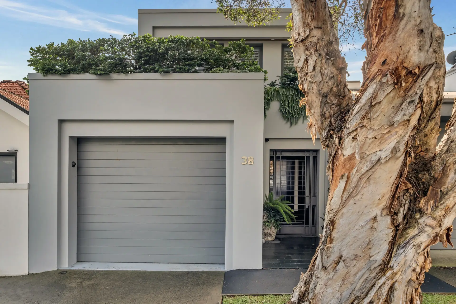 38 View Street, Woollahra Sold by Bradfield Badgerfox - image 1