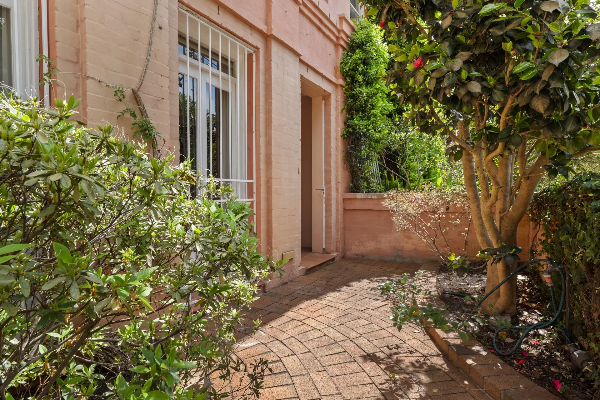 1 Tara Street, Woollahra Sold by Bradfield Badgerfox - image 1