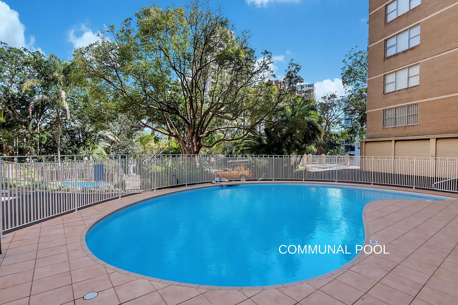 5/4 Mitchell Road, Darling Point Sold by Bradfield Badgerfox - image 1