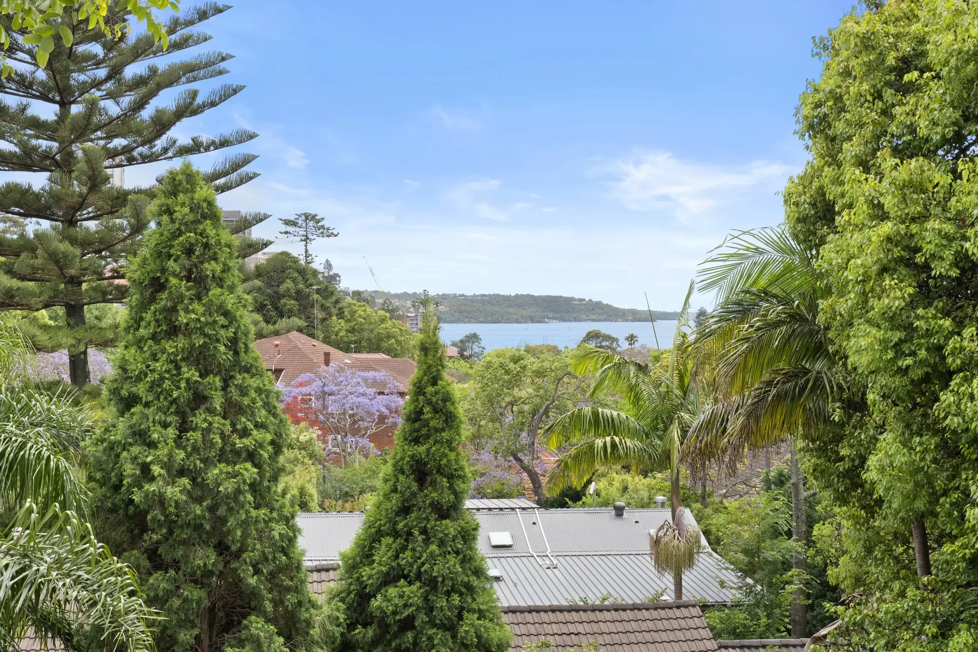 11/250 New South Head Road, Double Bay Sold by Bradfield Badgerfox - image 1