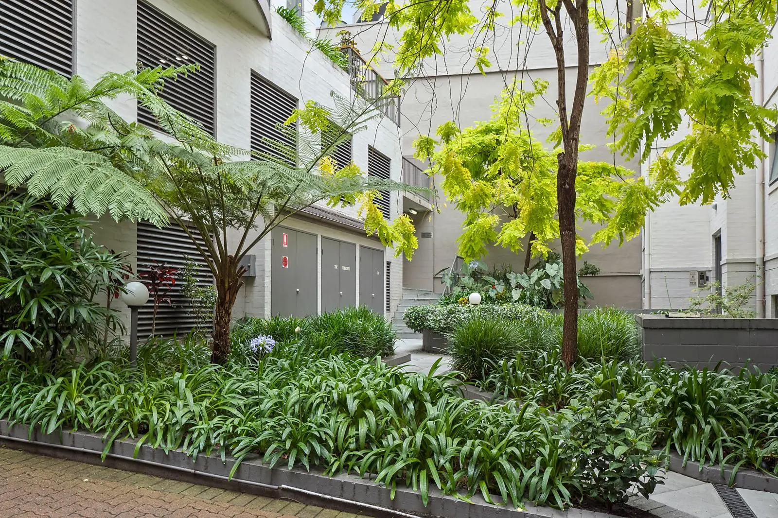 11/88-96 Barcom Avenue, Darlinghurst Sold by Bradfield Badgerfox - image 1