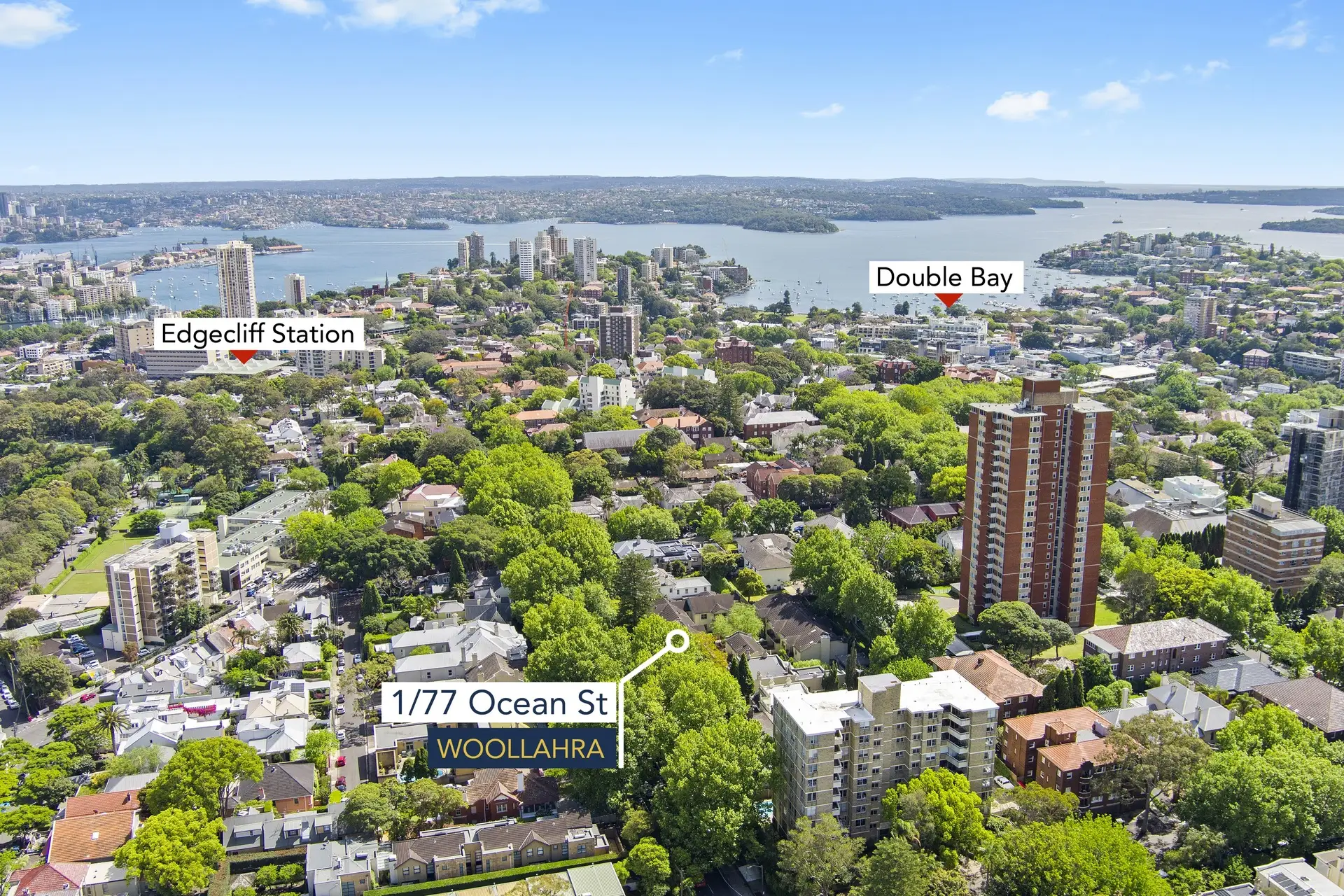 1/77-79 Ocean Street, Woollahra Sold by Bradfield Badgerfox - image 1