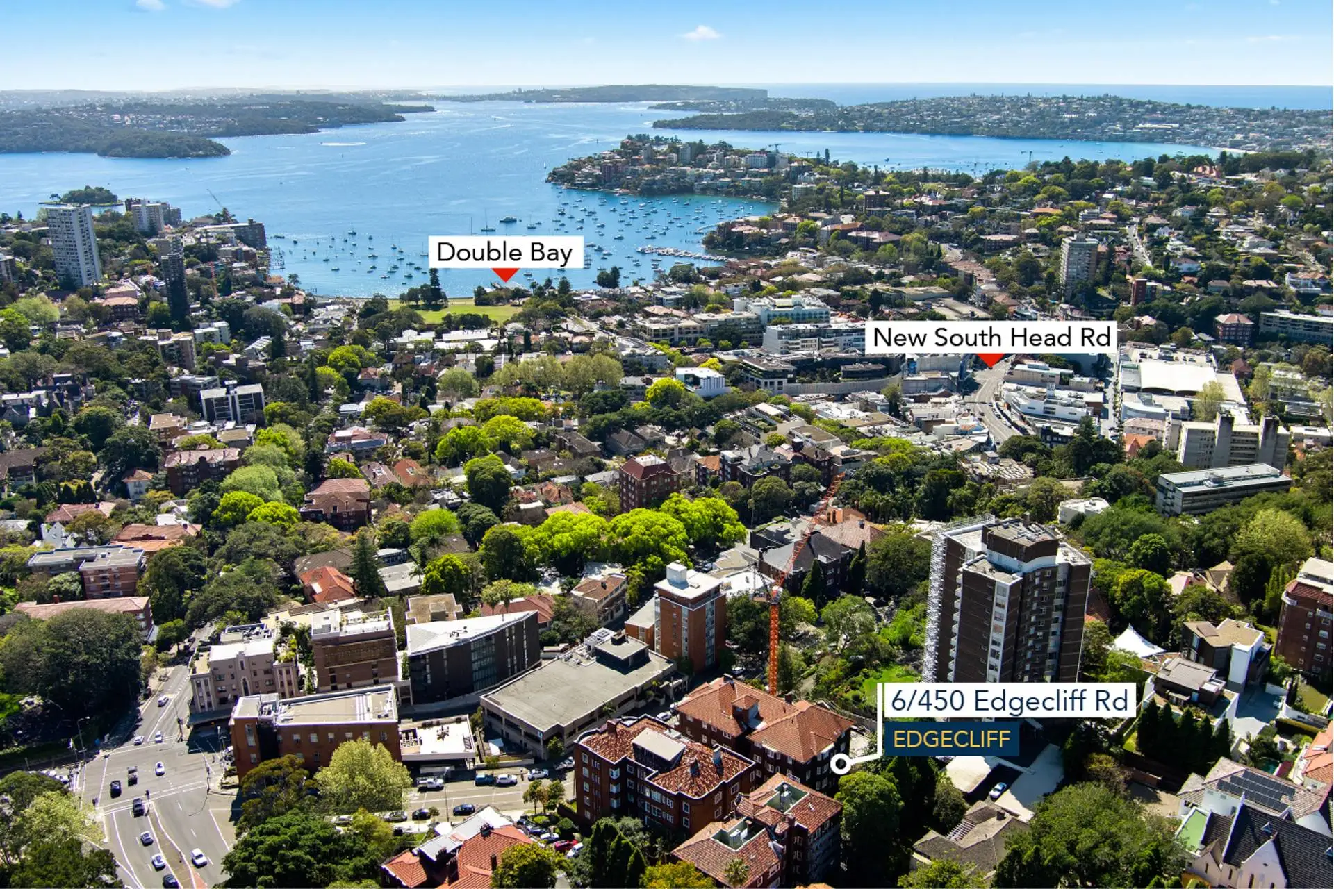 6/450 Edgecliff Road, Edgecliff Sold by Bradfield Badgerfox - image 1