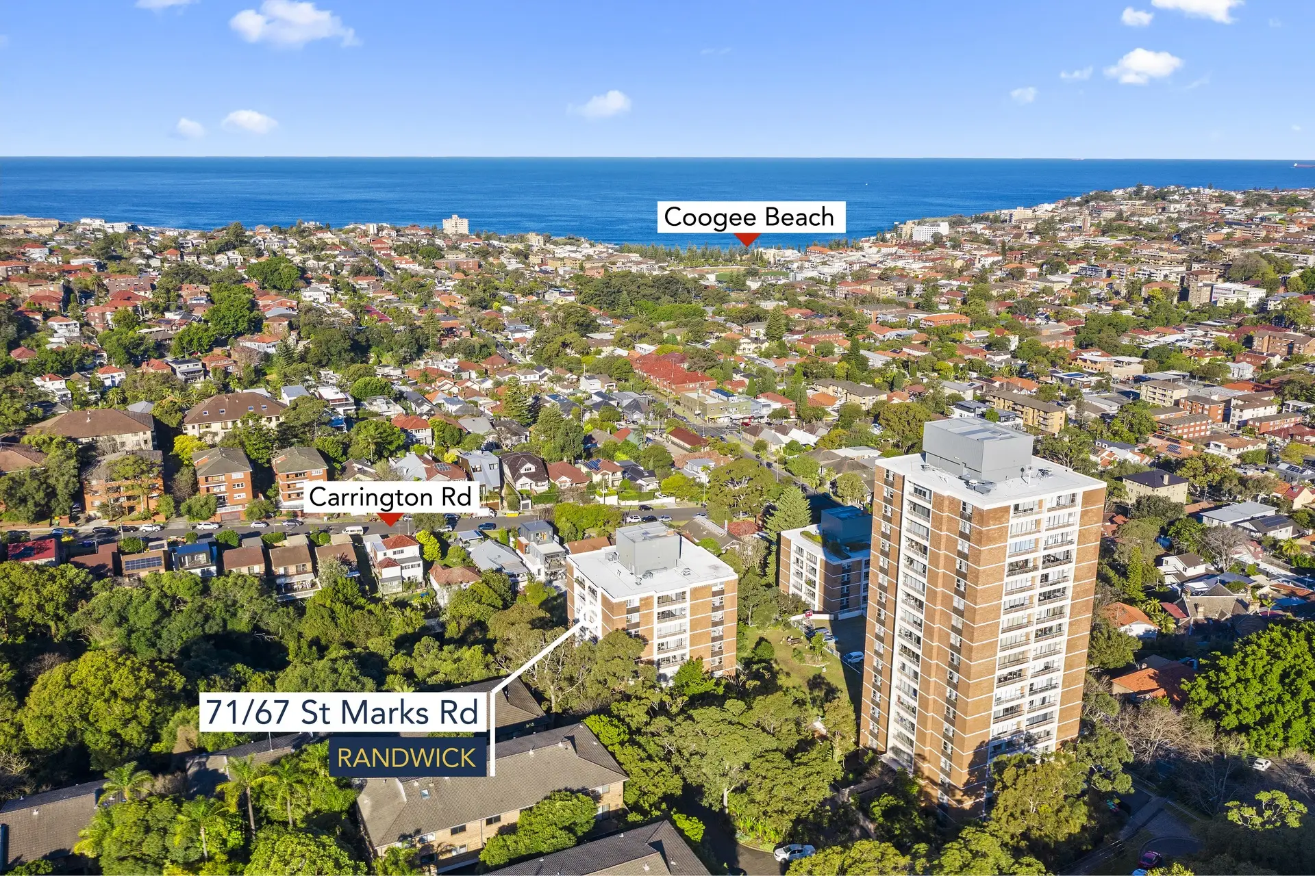 71/67 St Marks Road, Randwick Sold by Bradfield Badgerfox - image 1