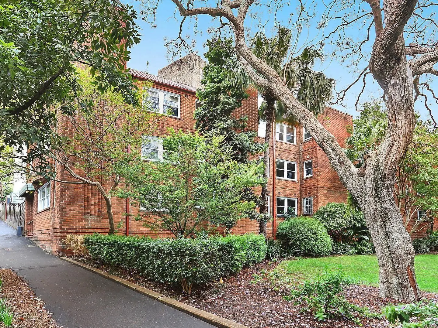 16/4 Waratah Street, Rushcutters Bay Sold by Bradfield Badgerfox - image 1