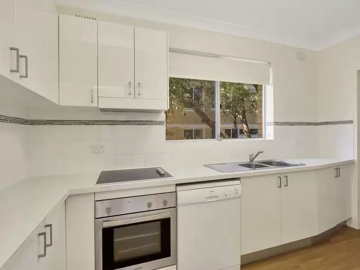 1/29 Blenheim Street, Randwick Leased by Bradfield Badgerfox - image 1