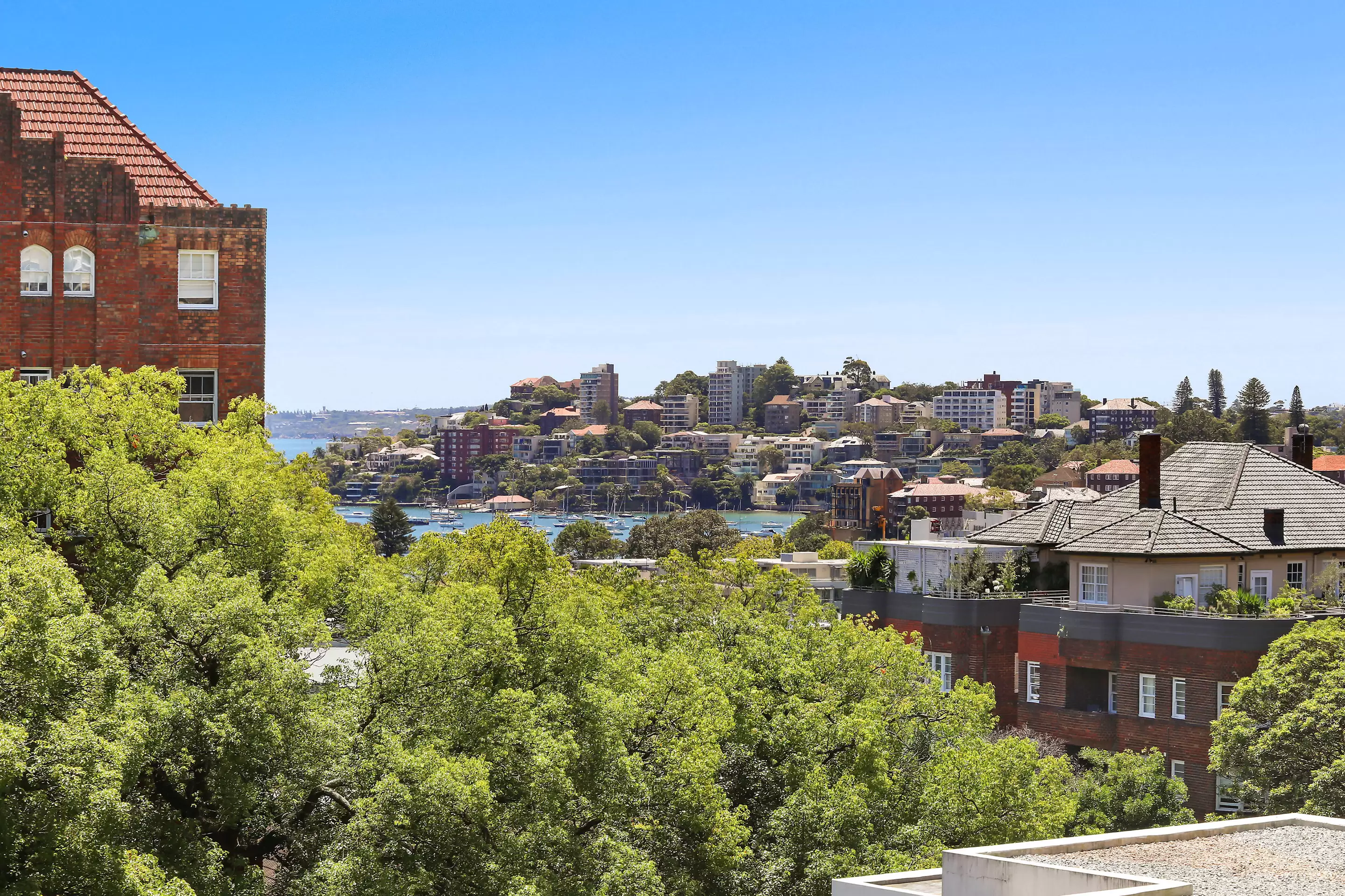 1/365 Edgecliff Road, Edgecliff Leased by Bradfield Badgerfox - image 1