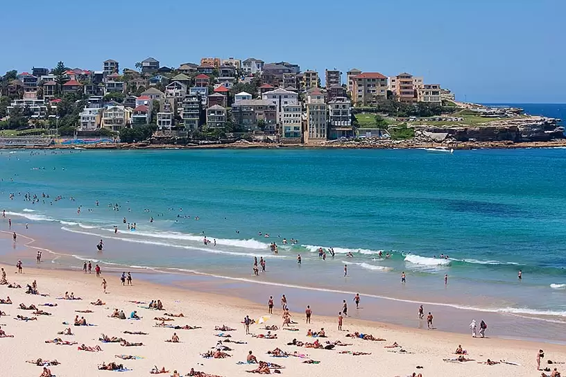 18/61 Curlewis Street, Bondi Beach Leased by Bradfield Badgerfox - image 1