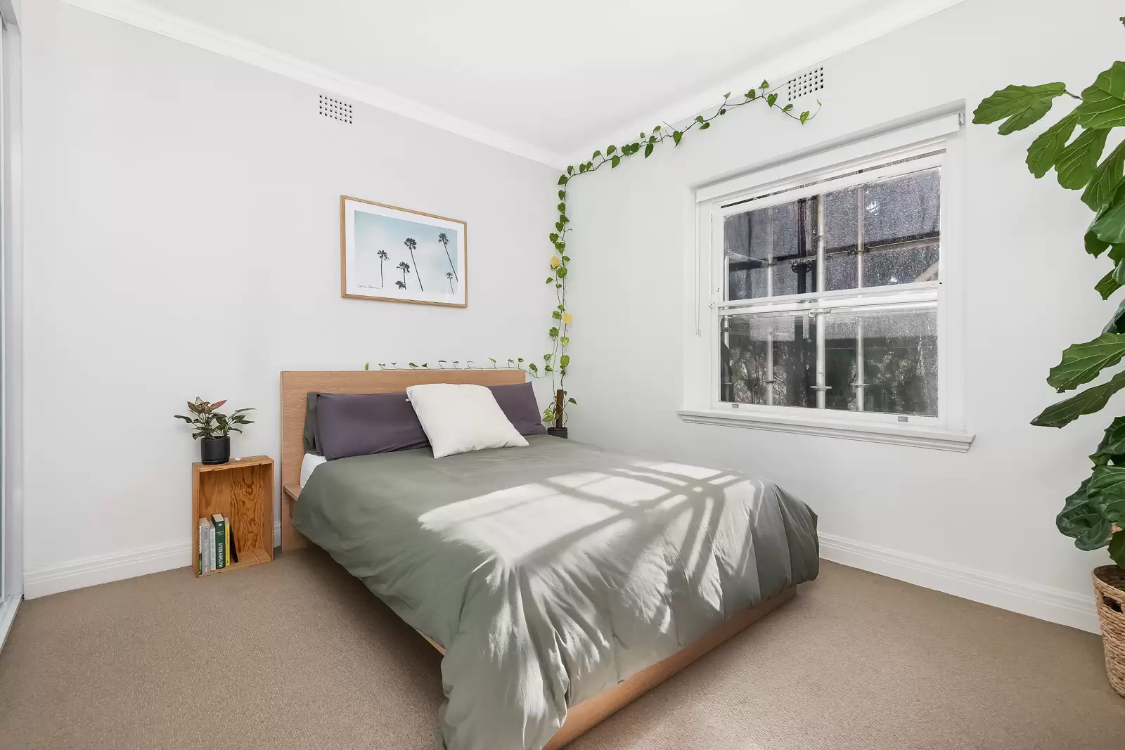 8/454 Edgecliff Road, Edgecliff Leased by Bradfield Badgerfox - image 1