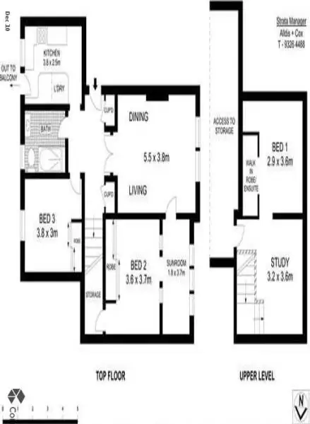 8/2A Bradley Street, Randwick For Lease by Bradfield Badgerfox - image 1