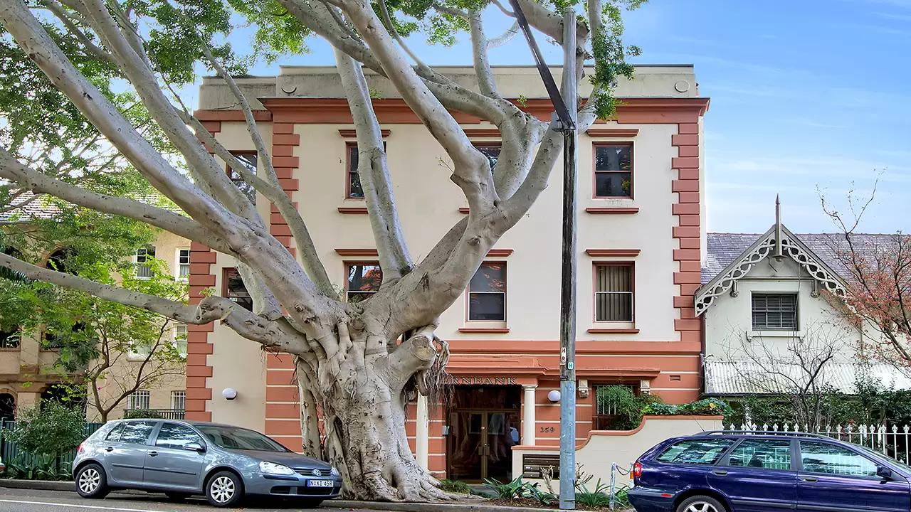 5/359 Edgecliff Road, Edgecliff Leased by Bradfield Badgerfox - image 1