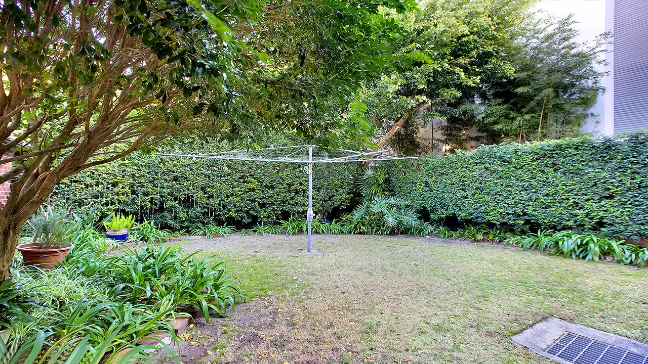 2/61 William Street, Double Bay Leased by Bradfield Badgerfox - image 1