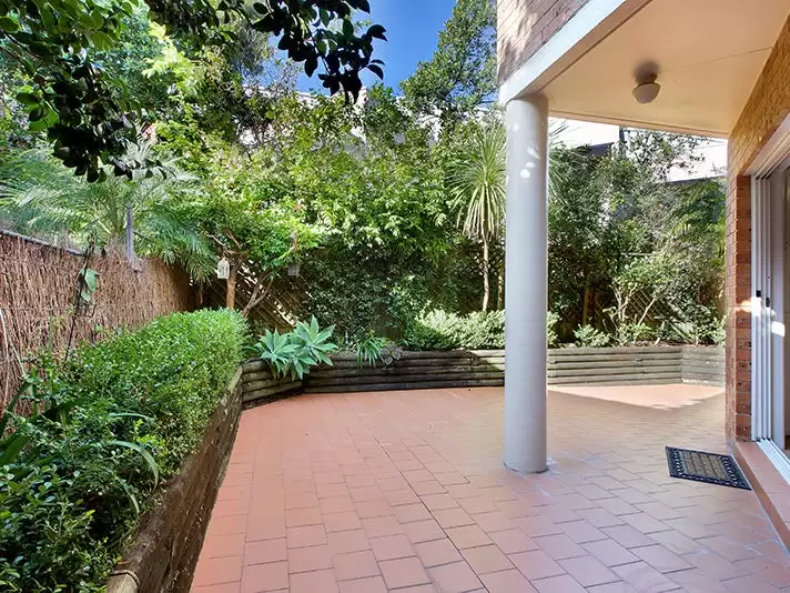 2/6 Pine Street, Randwick For Lease by Bradfield Badgerfox - image 1