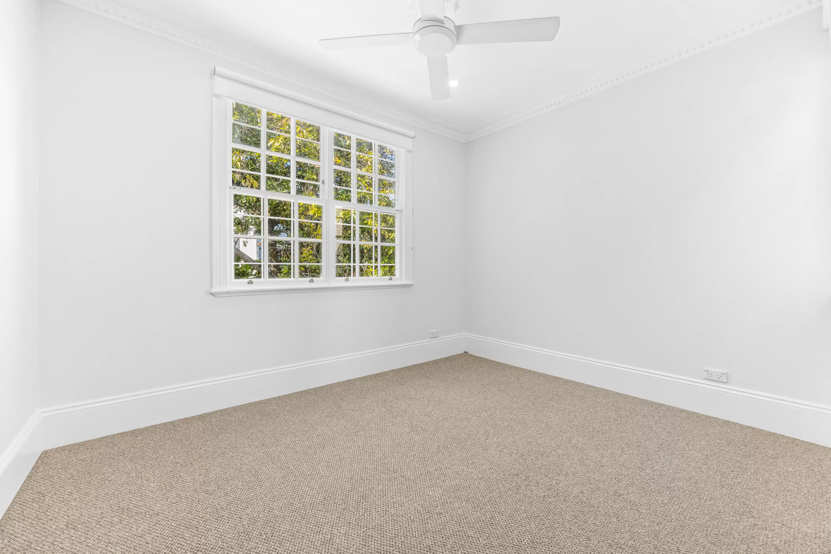 24 Mackenzie Street, Bondi Junction Leased by Bradfield Badgerfox - image 1