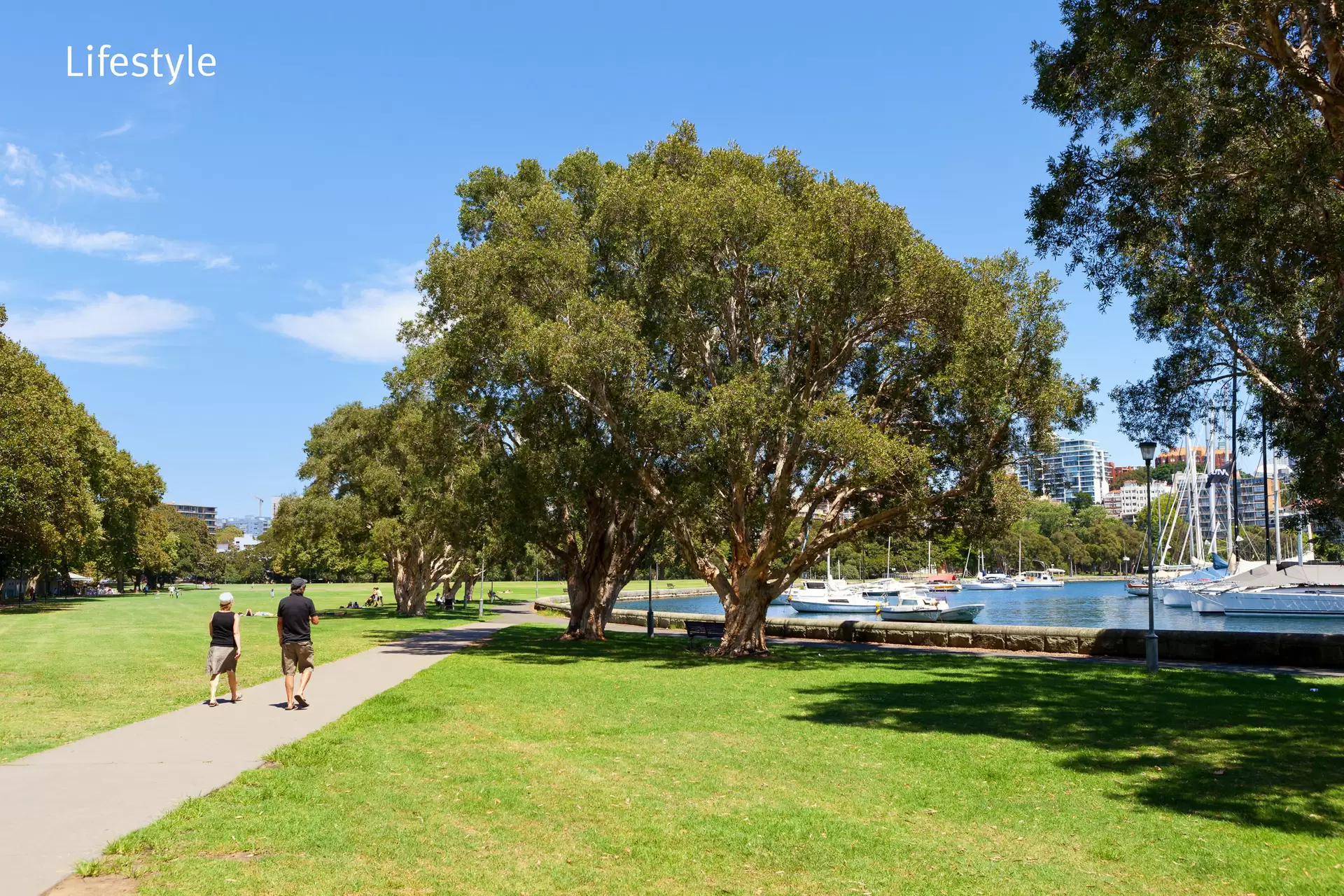 11A/153 Bayswater Road, Rushcutters Bay Leased by Bradfield Badgerfox - image 1