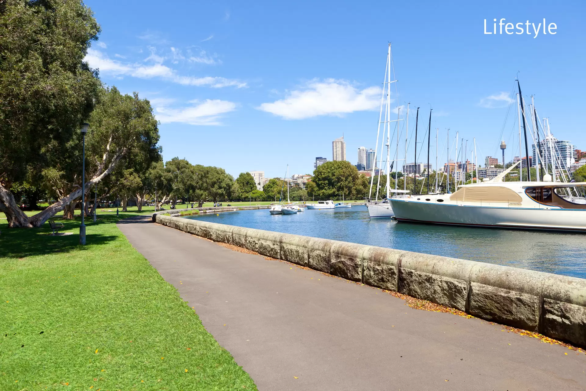 11A/153 Bayswater Road, Rushcutters Bay Leased by Bradfield Badgerfox - image 1
