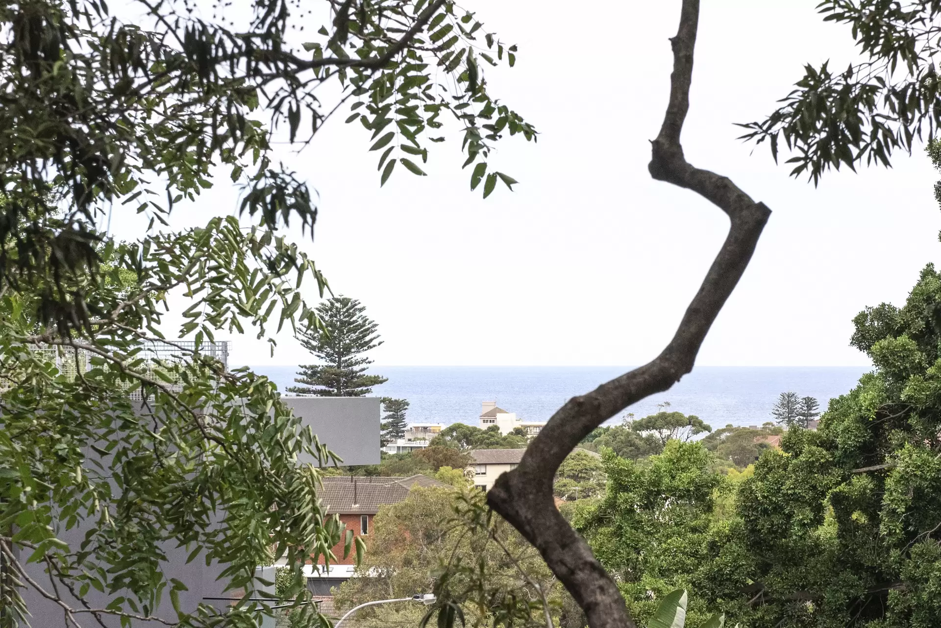 11/39 Birriga Road, Bellevue Hill Leased by Bradfield Badgerfox - image 1