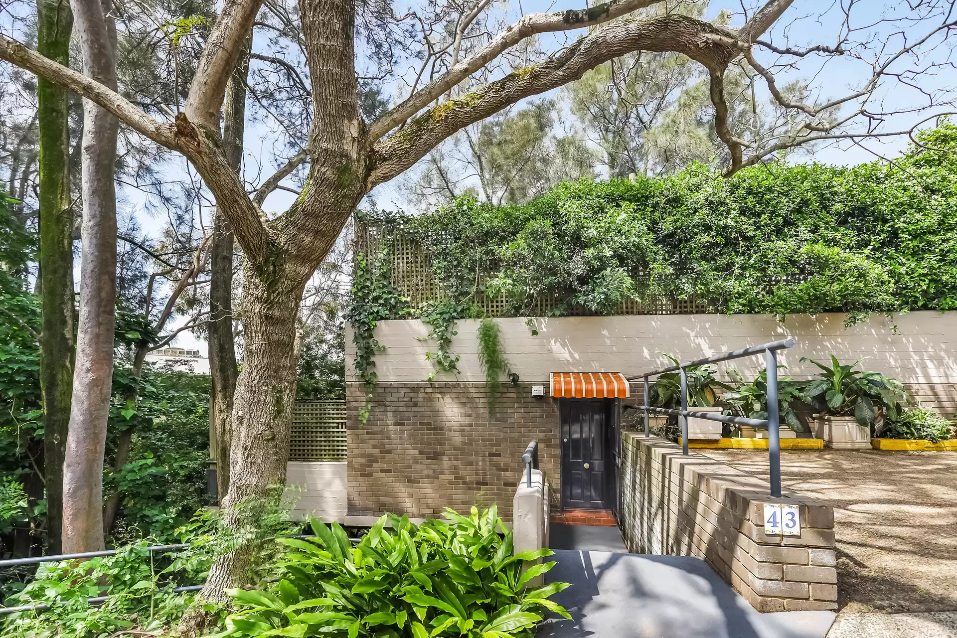 43/110 Cascade Street, Paddington Leased by Bradfield Badgerfox - image 1