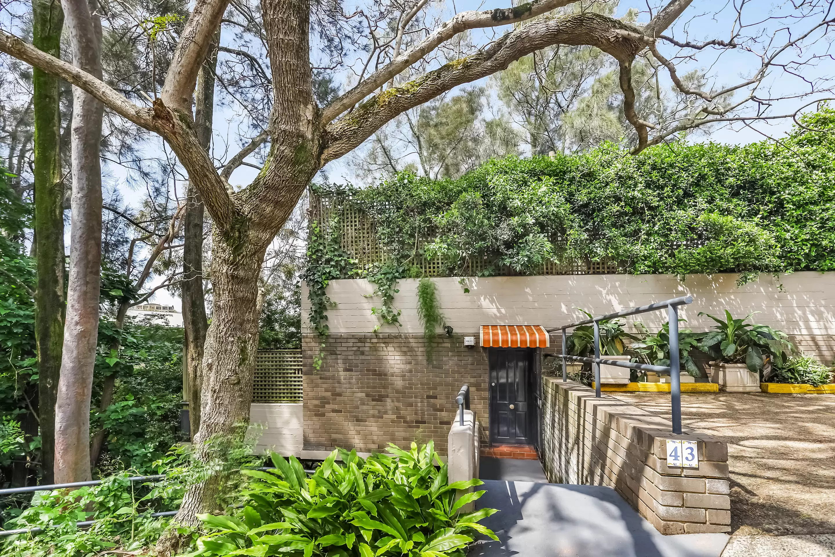 43/110 Cascade Street, Paddington Leased by Bradfield Badgerfox - image 1