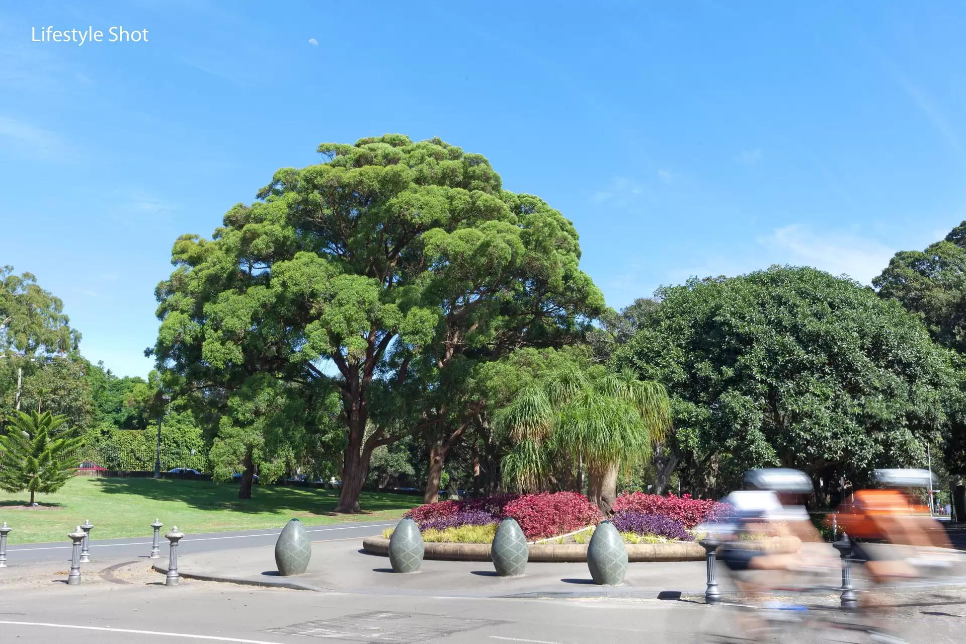80/39-43 Cook Road, Centennial Park For Lease by Bradfield Badgerfox - image 1