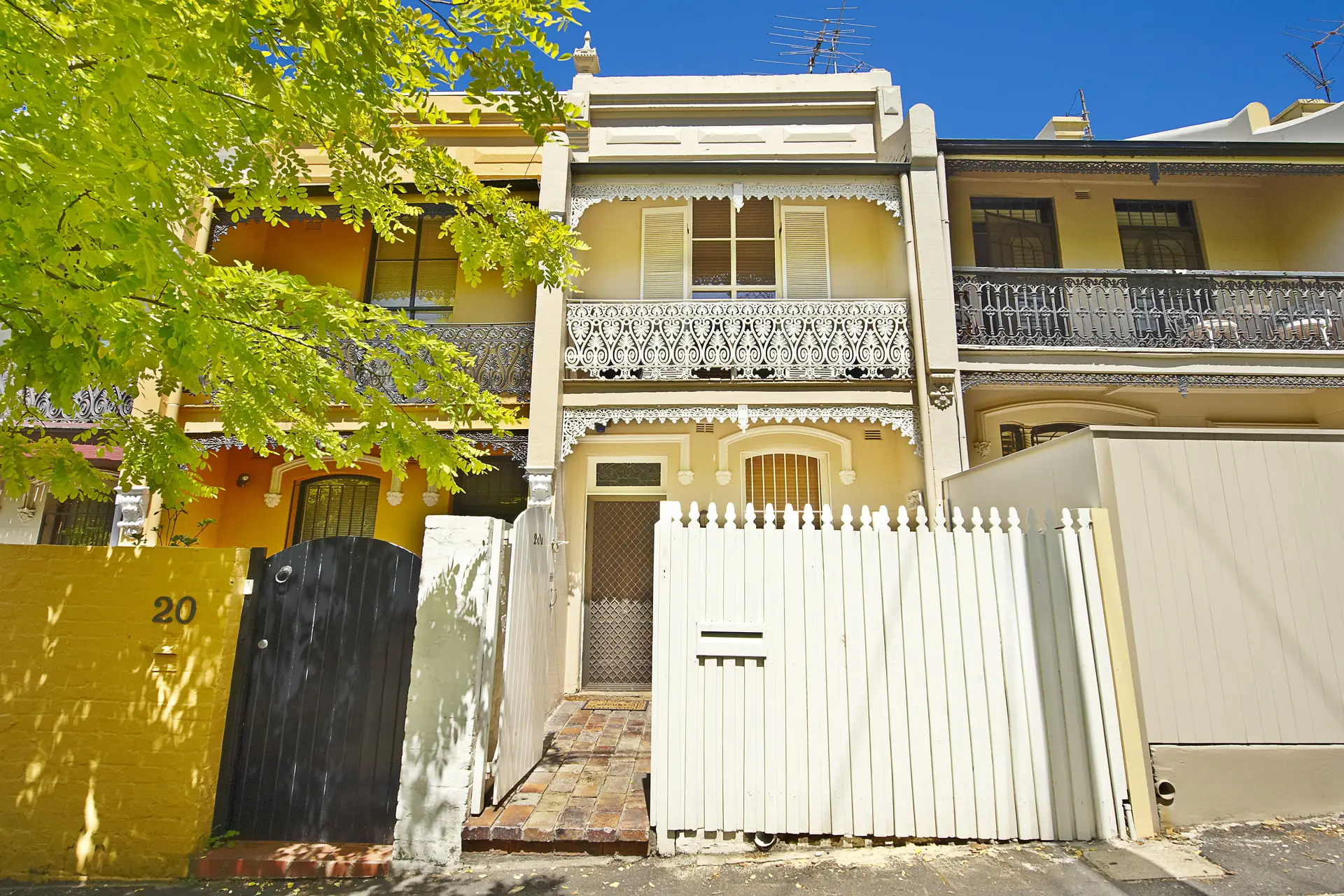 20A Womerah Avenue, Darlinghurst Sold by Bradfield Badgerfox - image 1