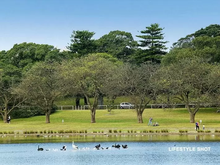 1/53 Moore Park Road, Centennial Park Leased by Bradfield Badgerfox - image 1